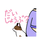 三毛猫っ！（個別スタンプ：27）