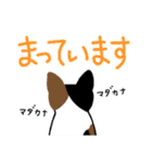 三毛猫っ！（個別スタンプ：28）