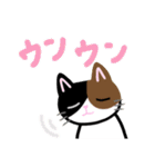 三毛猫っ！（個別スタンプ：35）