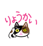 三毛猫っ！（個別スタンプ：36）