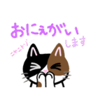 三毛猫っ！（個別スタンプ：37）