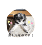 ちょこスタンプ No.1(カラフル)（個別スタンプ：8）