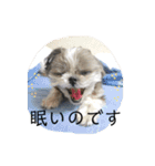 ちょこスタンプ No.1(カラフル)（個別スタンプ：11）