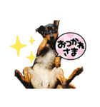 いろんなぴん（個別スタンプ：7）