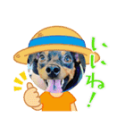 いろんなぴん（個別スタンプ：8）