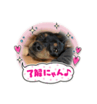 いろんなぴん（個別スタンプ：11）