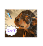 いろんなぴん（個別スタンプ：15）