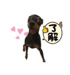 いろんなぴん（個別スタンプ：18）