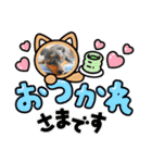 いろんなぴん（個別スタンプ：19）
