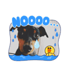 いろんなぴん（個別スタンプ：20）
