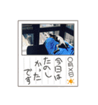 いろんなぴん（個別スタンプ：21）
