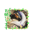 いろんなぴん（個別スタンプ：22）