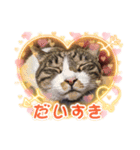 ここてつちゃろ 時々さいちゃん（個別スタンプ：2）