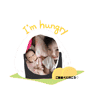 GAL Family（個別スタンプ：22）