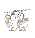 さぶろうべいのトリたち（個別スタンプ：12）