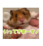もんど＆フレンド（個別スタンプ：2）