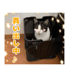 もんど＆フレンド（個別スタンプ：4）