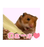 もんど＆フレンド（個別スタンプ：6）