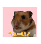もんど＆フレンド（個別スタンプ：7）