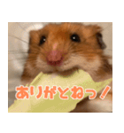 もんど＆フレンド（個別スタンプ：8）