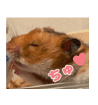 もんど＆フレンド（個別スタンプ：19）