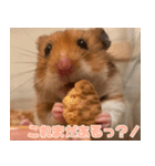 もんど＆フレンド（個別スタンプ：23）