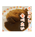 【カレー専用】カツカレー食べたい（個別スタンプ：12）