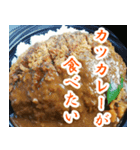 【カレー専用】カツカレー食べたい（個別スタンプ：13）