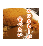 【カレー専用】カツカレー食べたい（個別スタンプ：14）