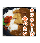 【カレー専用】カツカレー食べたい（個別スタンプ：16）