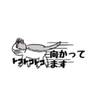 最愛猫(省スペースver.)（個別スタンプ：30）