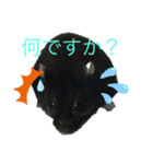 ルツ君（個別スタンプ：2）