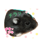 ルツ君（個別スタンプ：7）