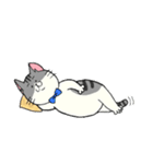 ネコが好き。（個別スタンプ：5）
