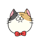 ネコが好き。（個別スタンプ：12）
