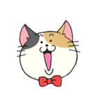 ネコが好き。（個別スタンプ：15）