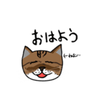 ぱーにゃんすたんぷ（個別スタンプ：1）
