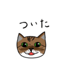 ぱーにゃんすたんぷ（個別スタンプ：11）