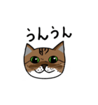 ぱーにゃんすたんぷ（個別スタンプ：13）