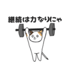 ミケ猫のちんじゃおろーす（スポーツ編）。（個別スタンプ：10）