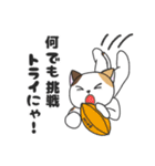 ミケ猫のちんじゃおろーす（スポーツ編）。（個別スタンプ：15）