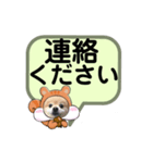 ぽんリスちゃん（個別スタンプ：19）