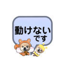 ぽんリスちゃん（個別スタンプ：36）