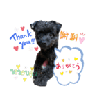 【小川さん家のティファニーくん】（個別スタンプ：4）