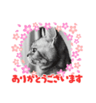 亜斗ちゃん（個別スタンプ：1）