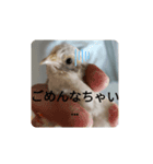 うずらズすたんぷ（個別スタンプ：8）