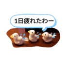アヒルの日常会話casual conversation（個別スタンプ：4）