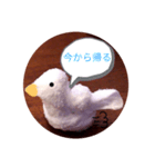 アヒルの日常会話casual conversation（個別スタンプ：5）
