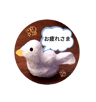 アヒルの日常会話casual conversation（個別スタンプ：6）