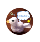 アヒルの日常会話casual conversation（個別スタンプ：16）